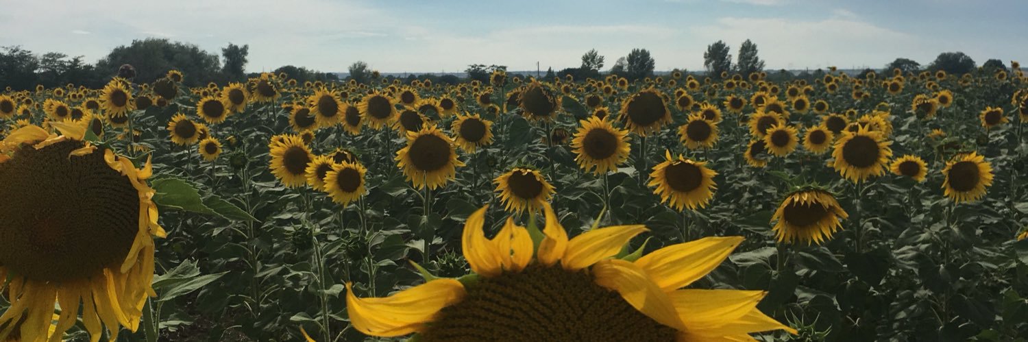 Krista Reimer banner