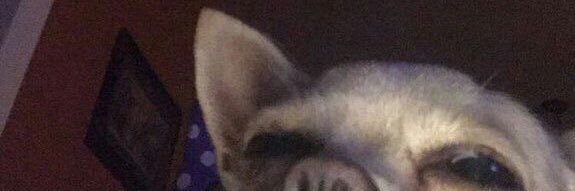 คาราคาใจ banner