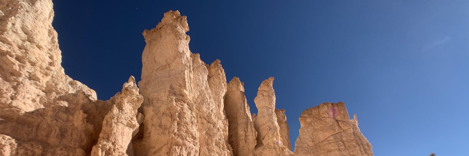 stuartselig's profile banner image