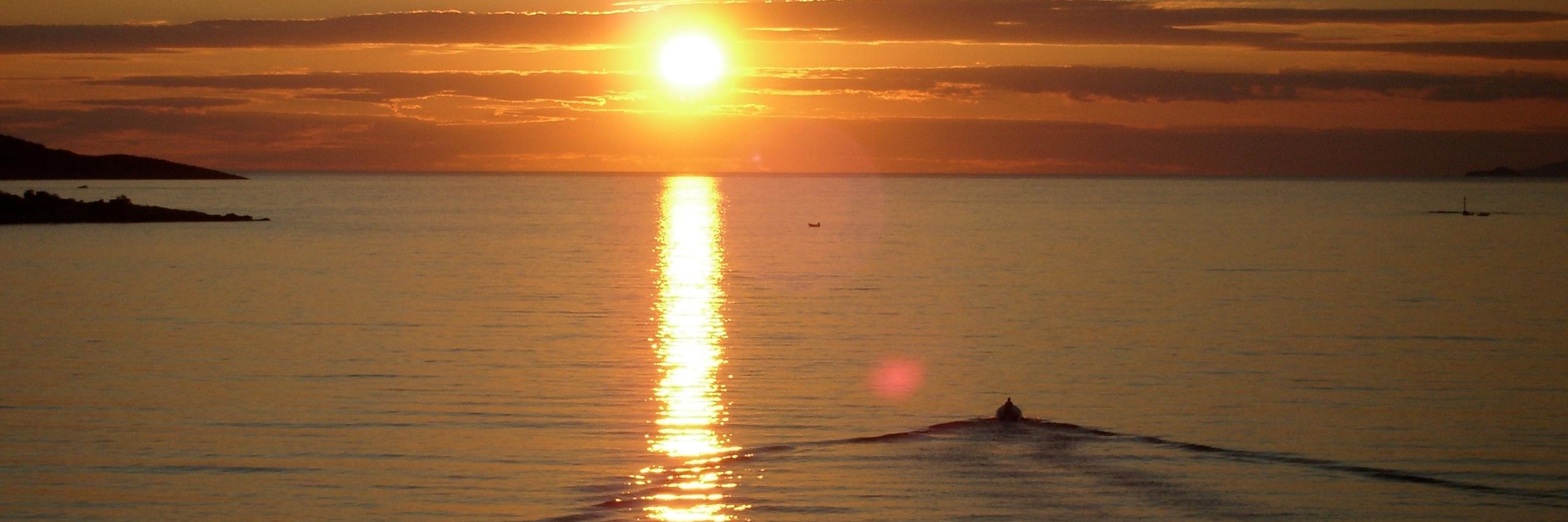 Konstantin Burkalev | #Stopwar | 🇺🇦💙💛 banner