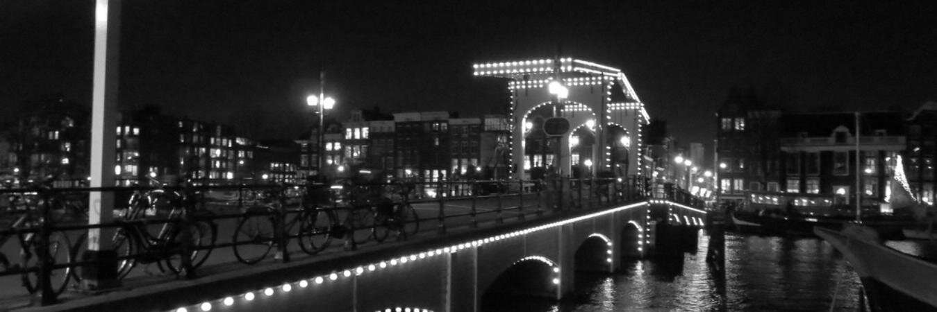 cariney's profile banner image