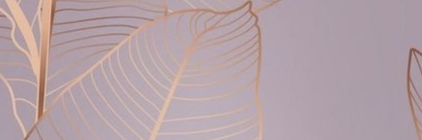 minderboob's profile banner image