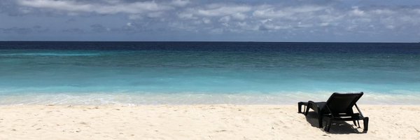 EdmondSLHo Profile Banner