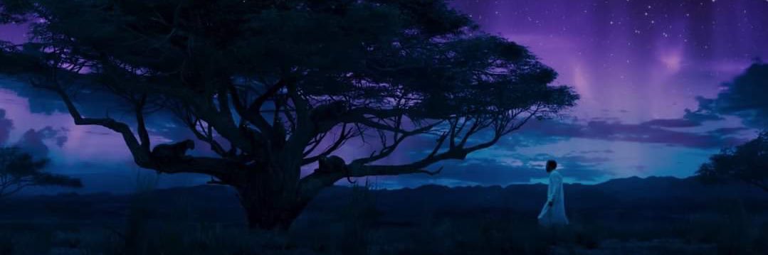 WiiDEBODY Steveo ‼️ banner