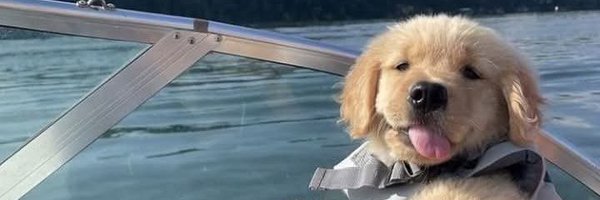 Kulistan5 Profile Banner