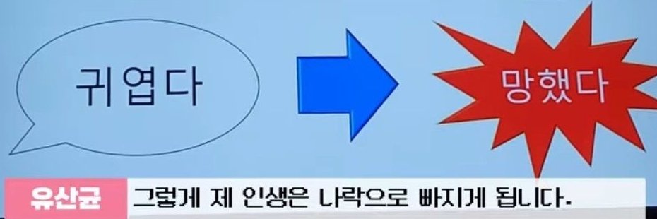 얄랄루's banner