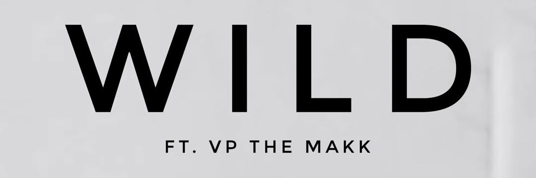 vpthemakk's profile banner image