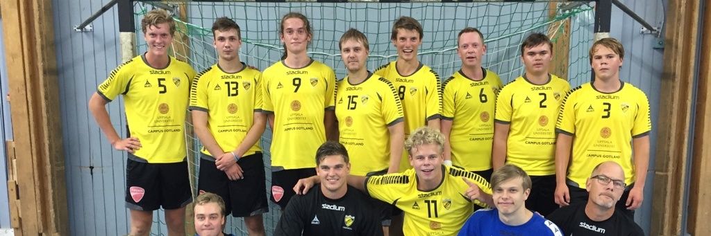 VIF Gute Herrhandboll banner