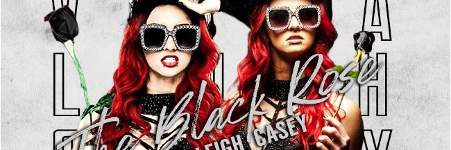 vera__leigh's profile banner image
