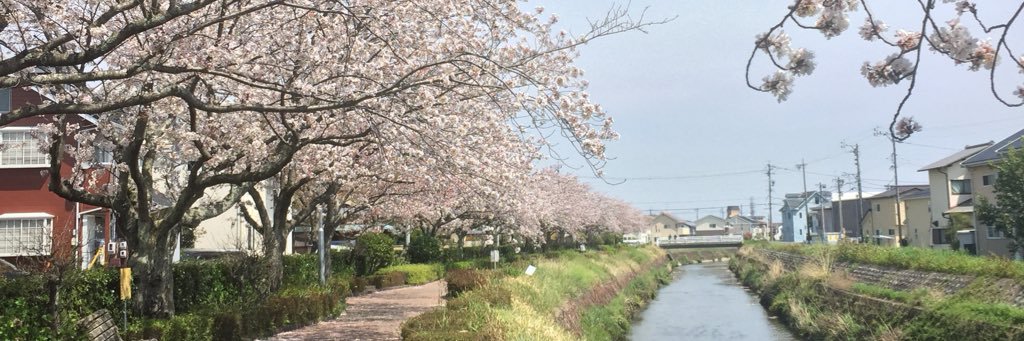 AI_0022's profile banner image