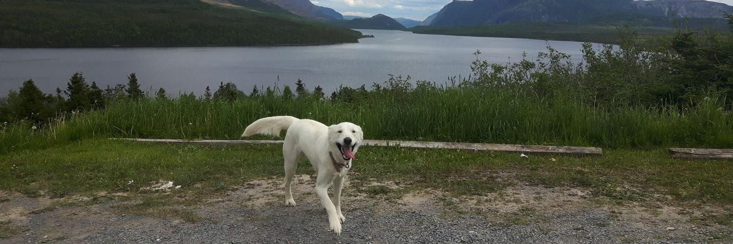 Winter 🫐🇨🇦 banner