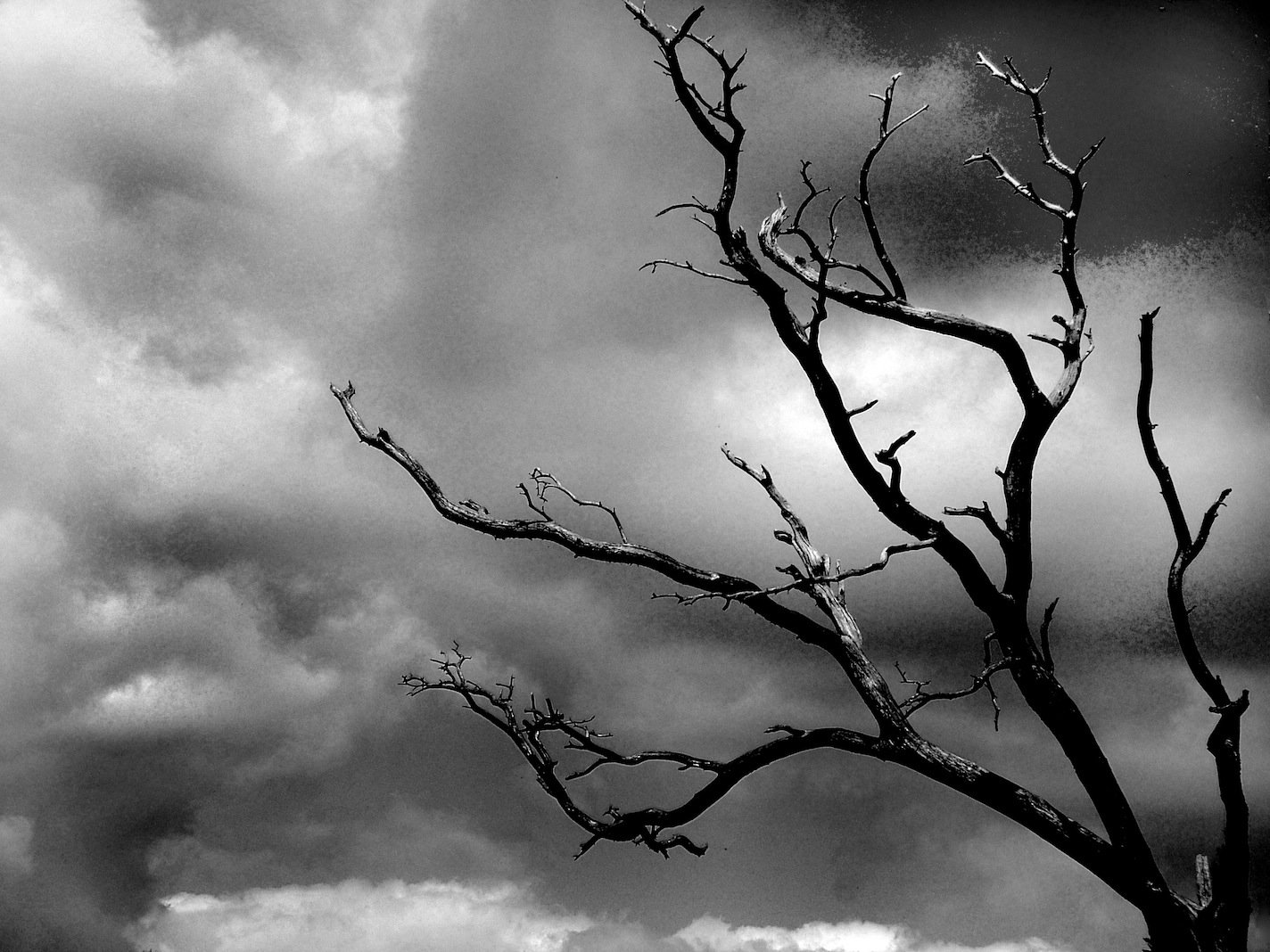 zero_signal66's profile banner image