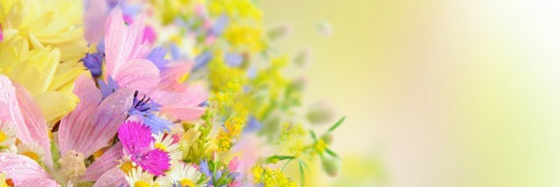 هنوده banner