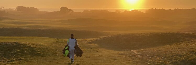 Very Sweet Lou banner