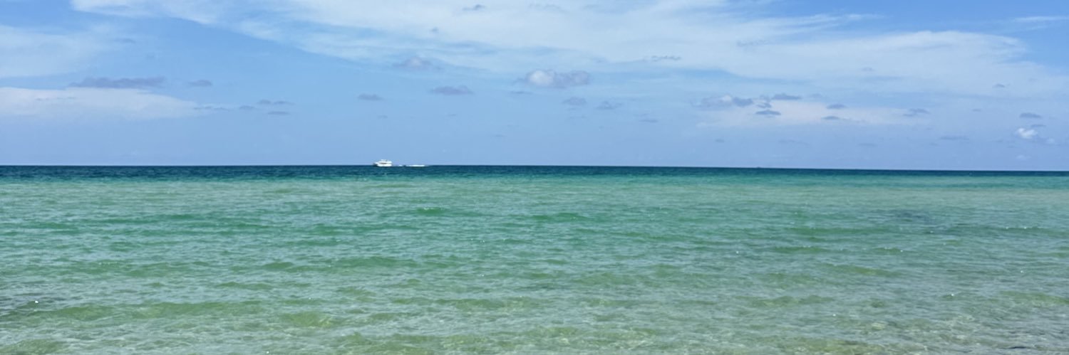 Lizette banner