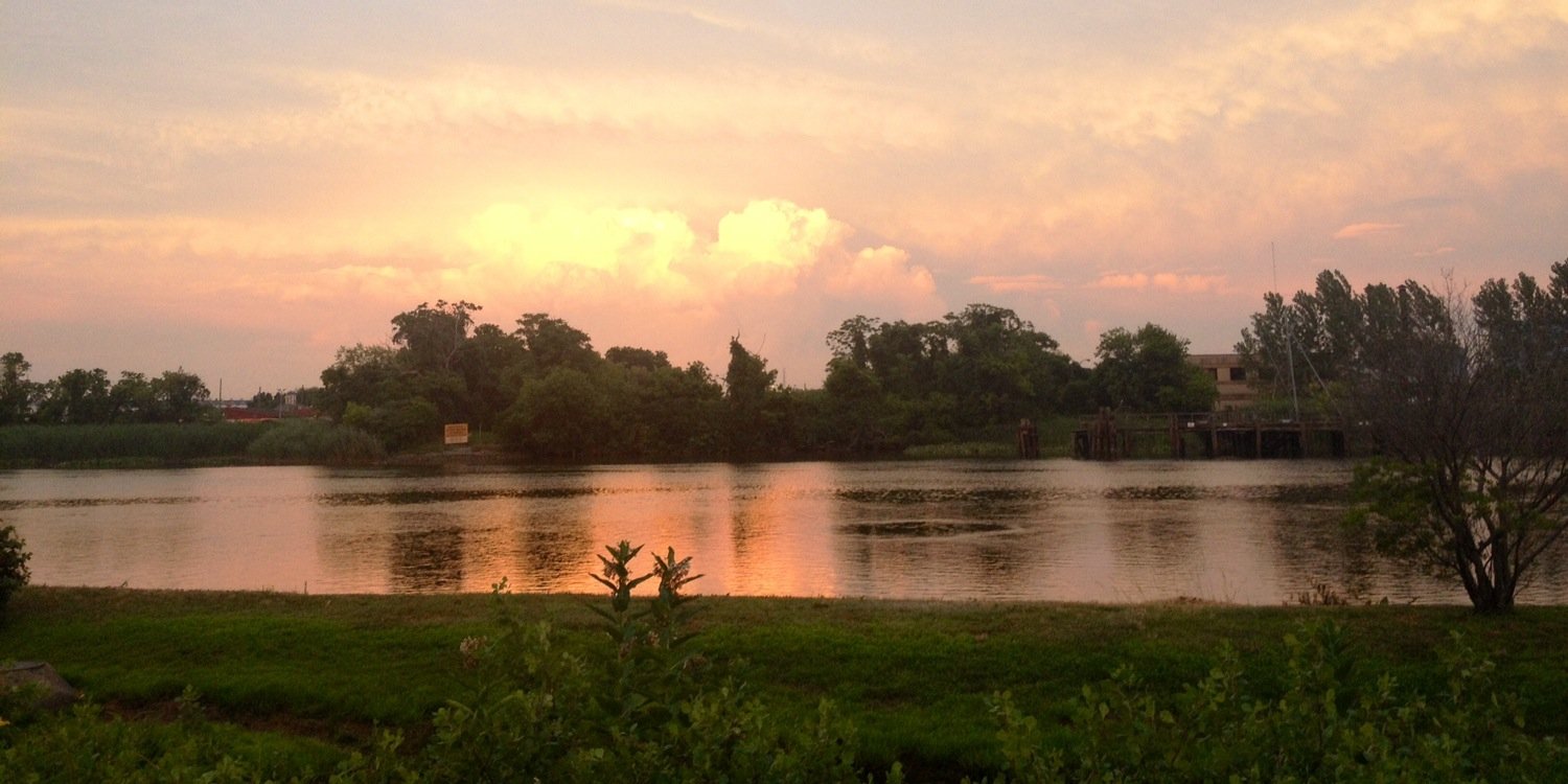 Elizabeth John banner