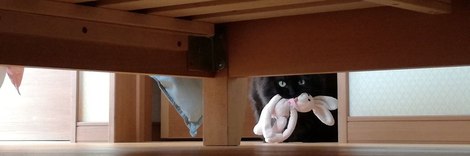 blackcatmoka's profile banner image