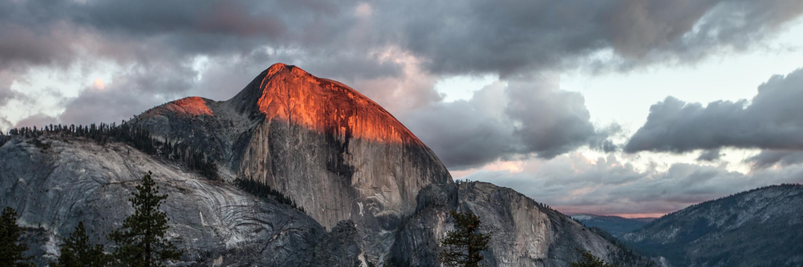 Cameron Martindell banner