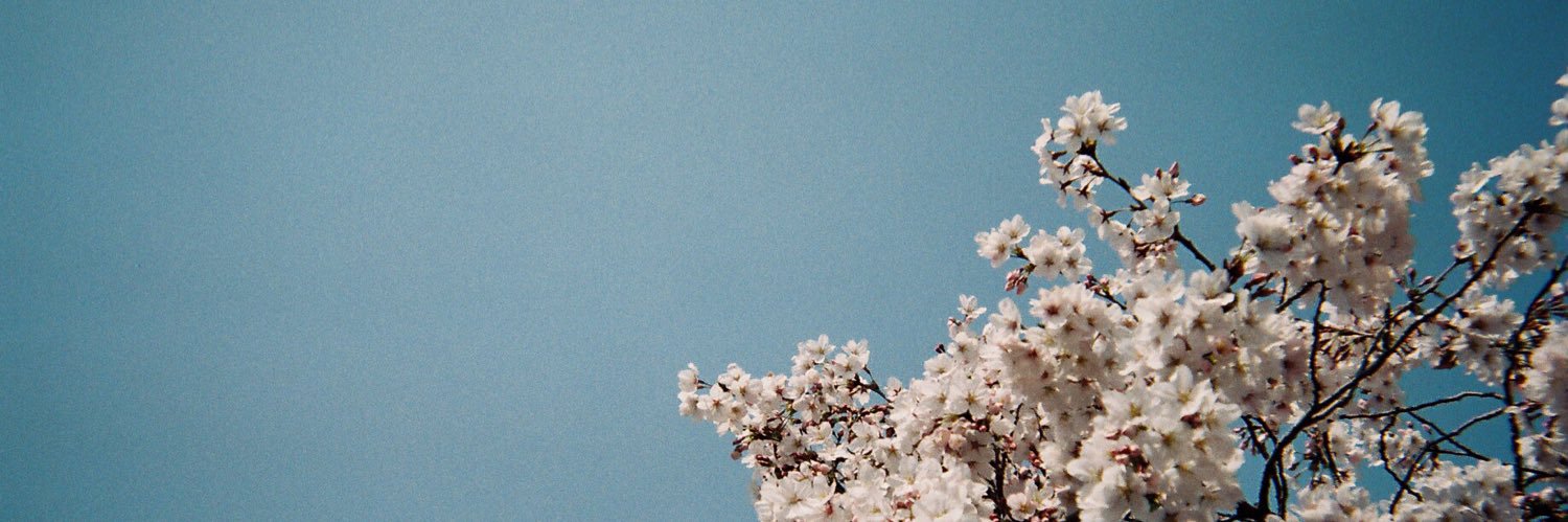 f140816's profile banner image