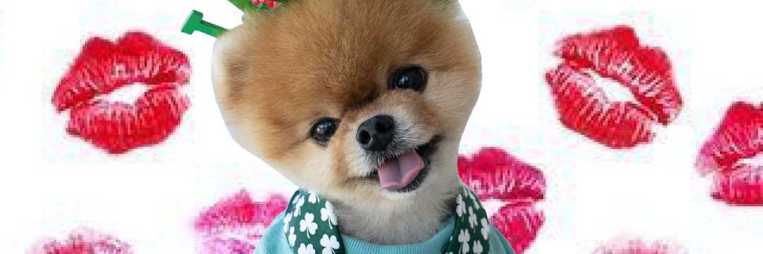 Jiffpom