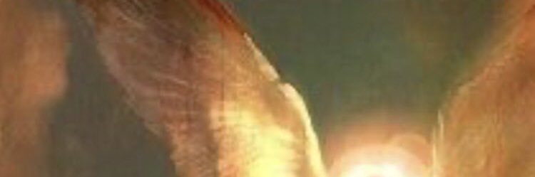 o_0Eli's profile banner image