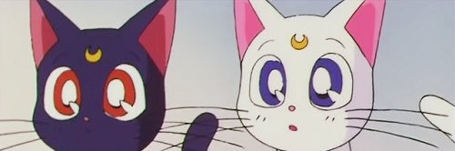 ethereals_s's profile banner image