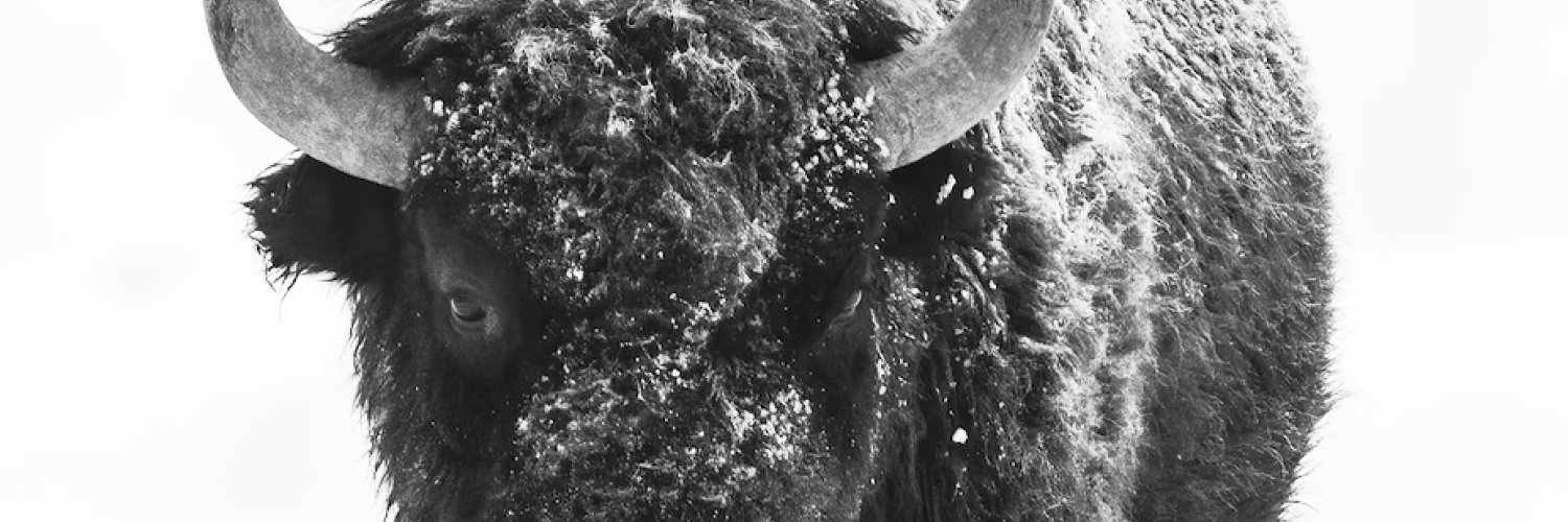 JerettPatterson's profile banner image