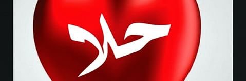 omhalaas's profile banner image