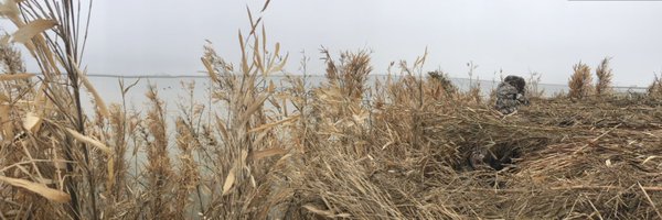 AkersLayne Profile Banner