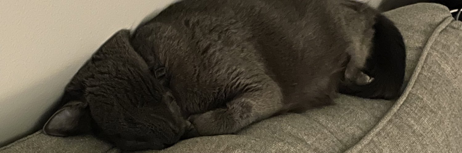 T_sumer99's profile banner image