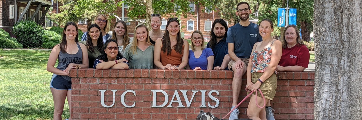 Bales Lab banner