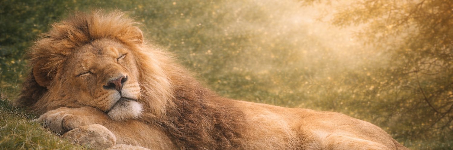 広瀬ましゅ🦁秋葉原スムース🌞クレイユ巣鴨 banner