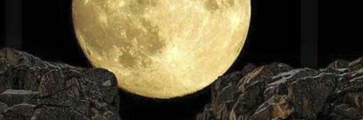 am20192019's profile banner image