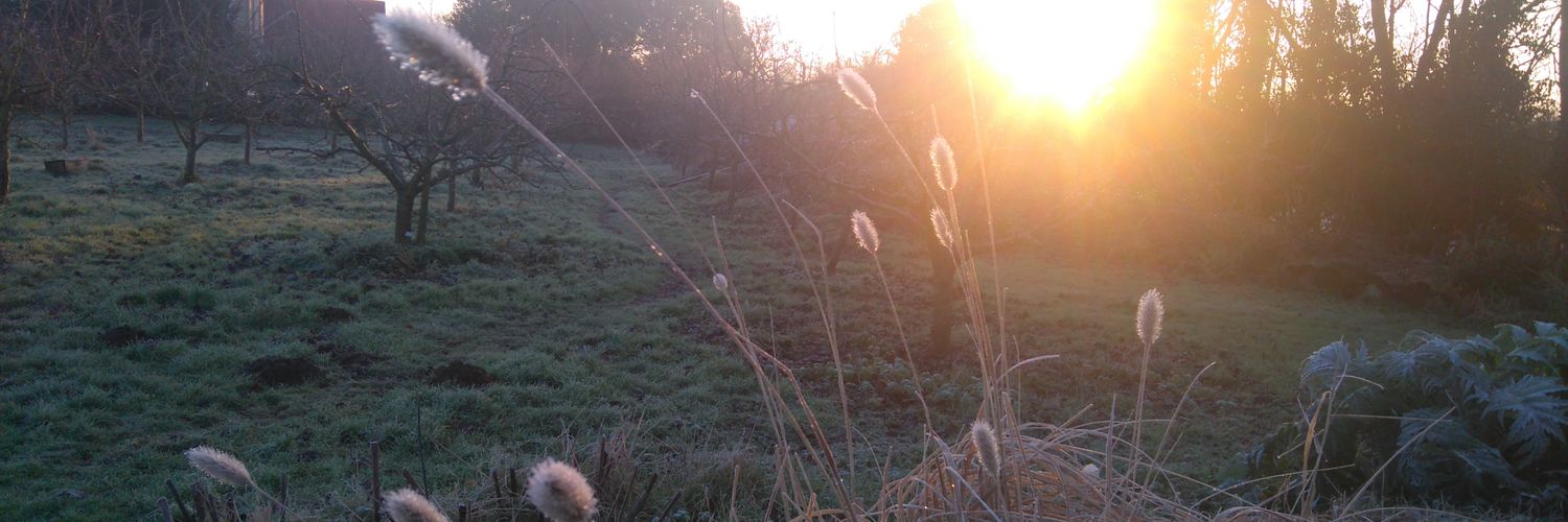 AWOLathome's profile banner image