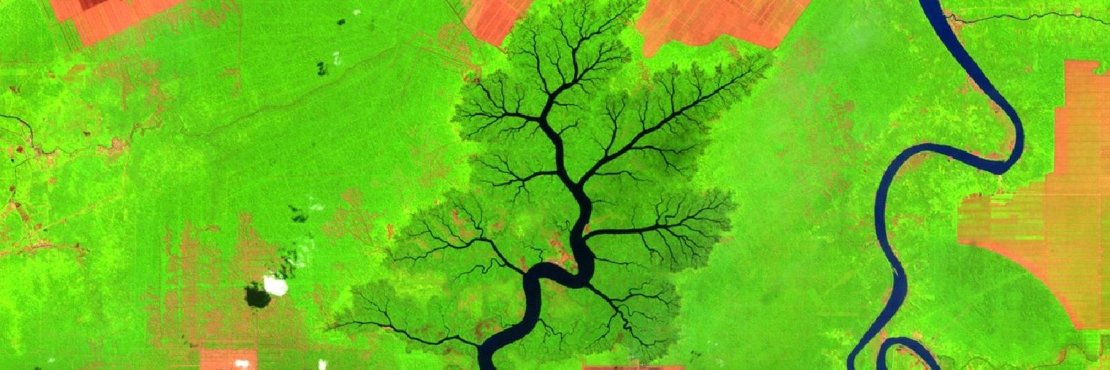wslerry's profile banner image