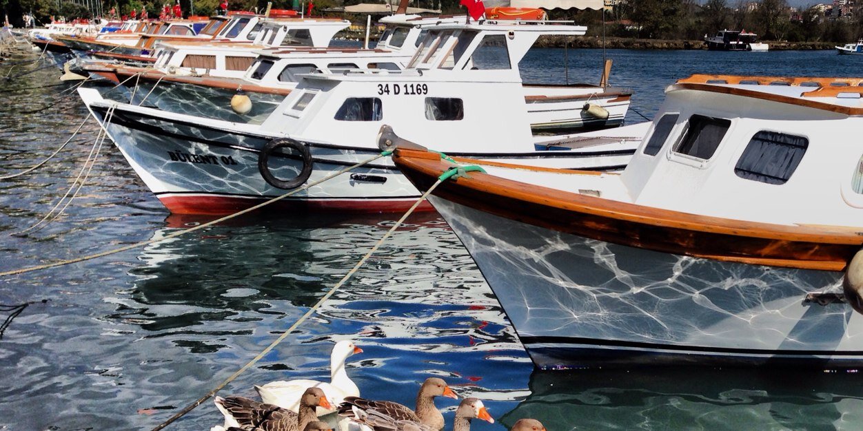 OmerSoylu's profile banner image