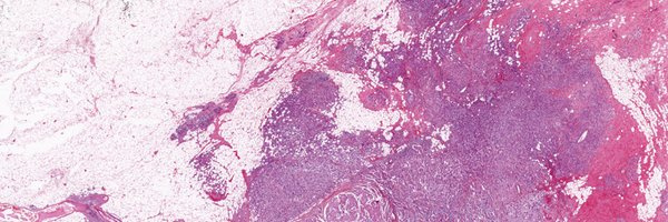 LabGeiger Profile Banner