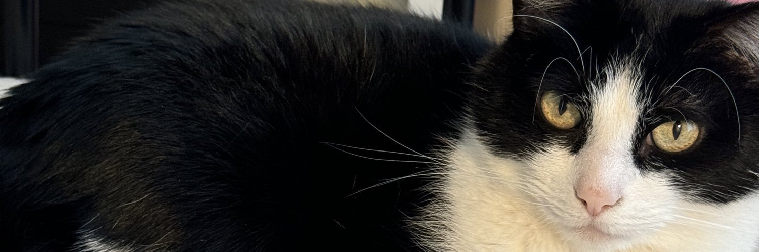 hunter hyltin banner