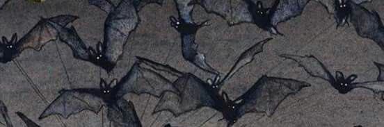 gdeacetis21's profile banner image