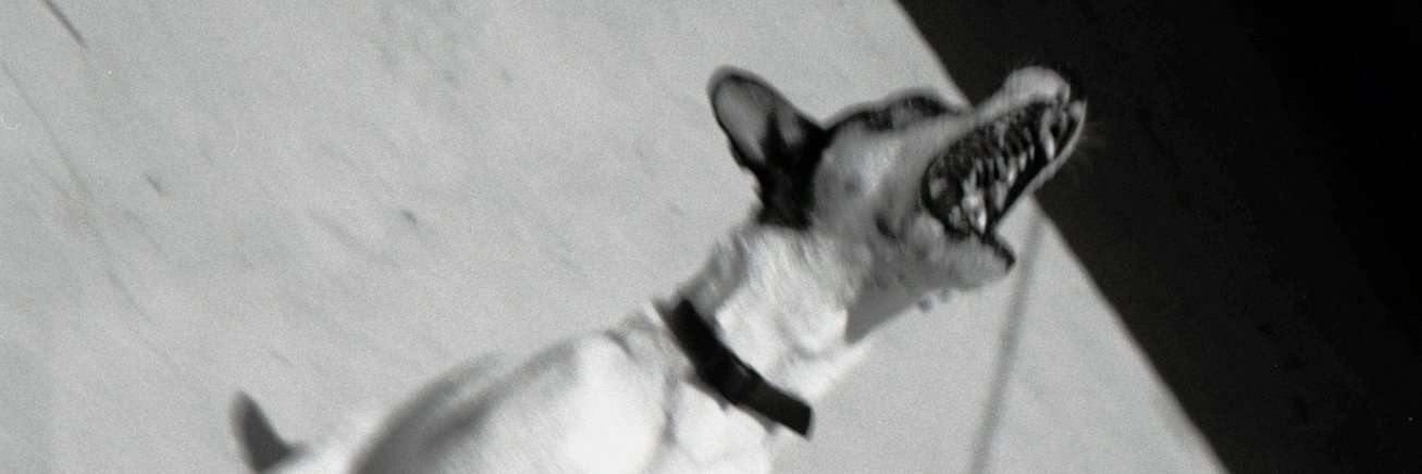 darrenrjacoby's profile banner image