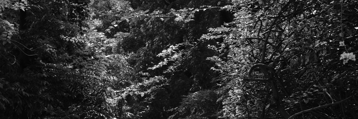 aftinsani's profile banner image