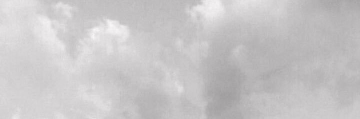 fiona banner