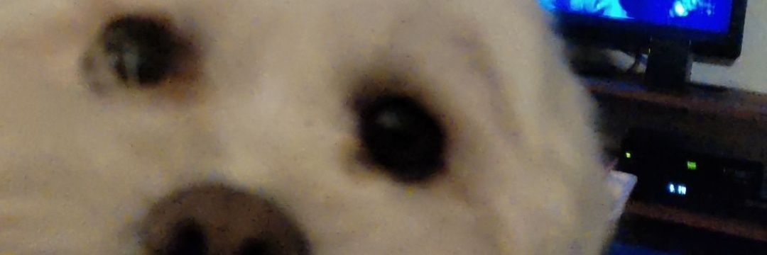 GbfGabi's profile banner image