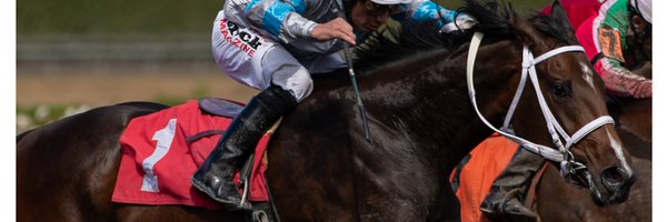 seattleracing Profile Banner