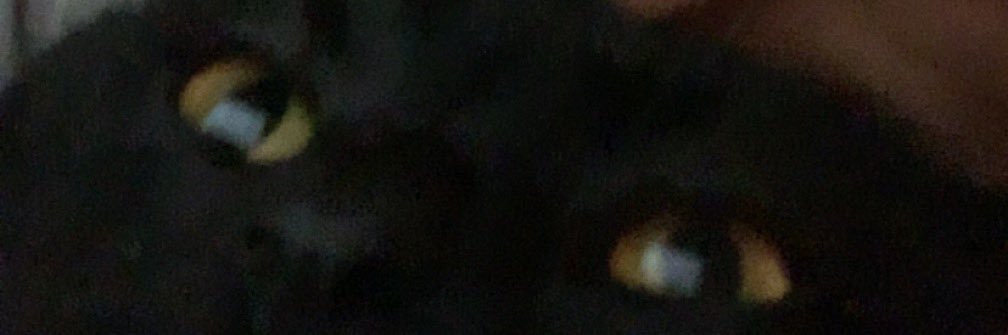 xssylx_'s profile banner image