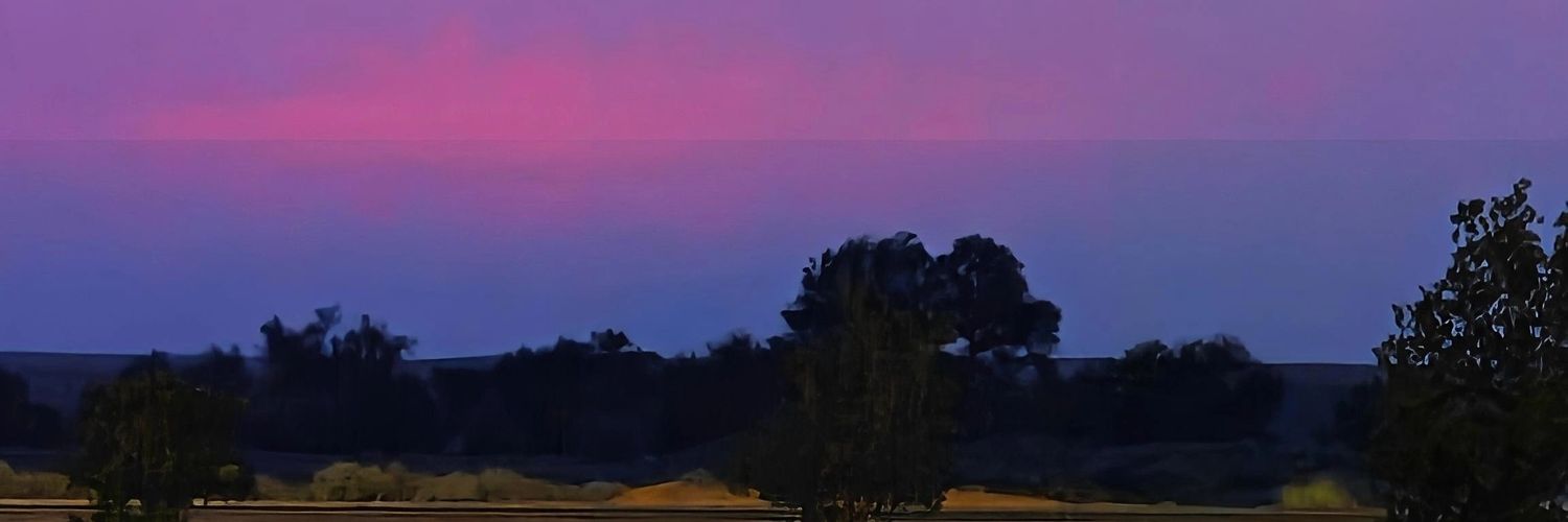 lele9w1's profile banner image