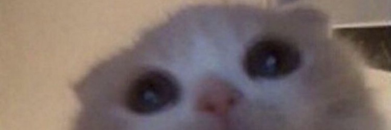 ❀ Ken ❀ banner
