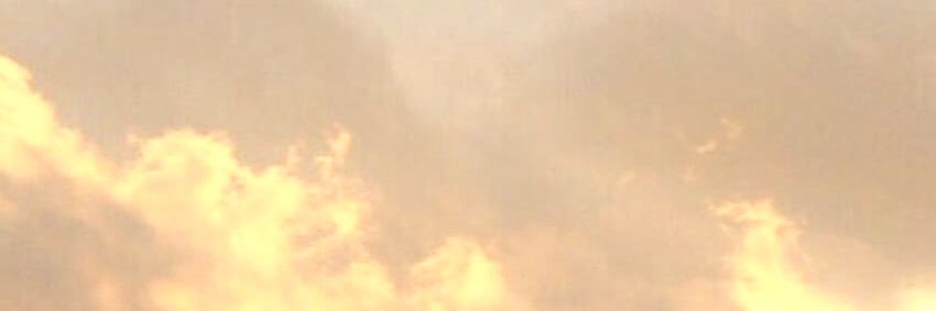 vinni 🦁💕's banner