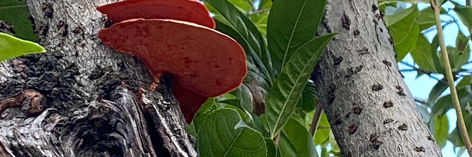 dddxrom_'s profile banner image
