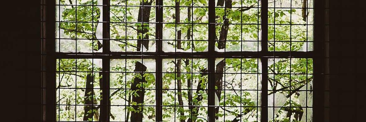 Bigro520Big's profile banner image